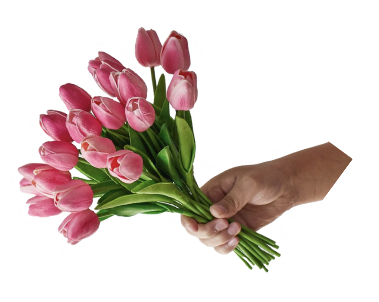Happn — tulips illustration